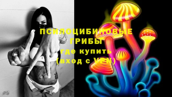 ешки Балахна